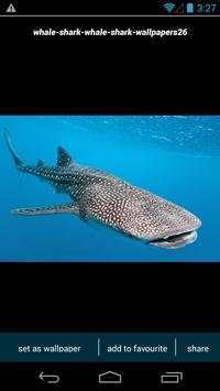Whale Shark Wallpapers screenshot 4