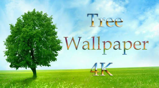 Tree Wallpaper 4K screenshot 1