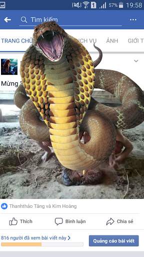 Add Snake to Photo screenshot 4
