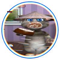 Guide For My Talking Cat  2 Update