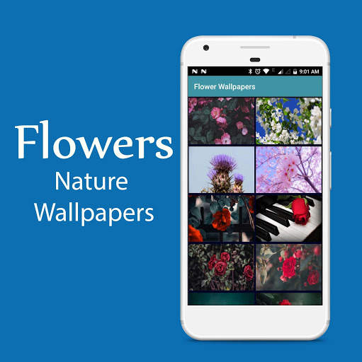 Best Nature Wallpapers screenshot 2