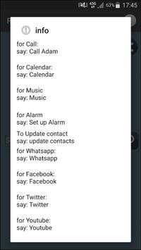 Alternative Siri screenshot 2