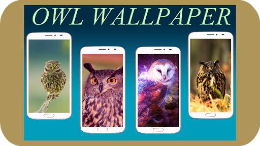 Owl Wallpaper HD screenshot 1