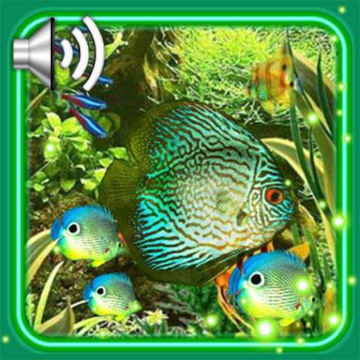Aquarium Fishes LWP 1.11