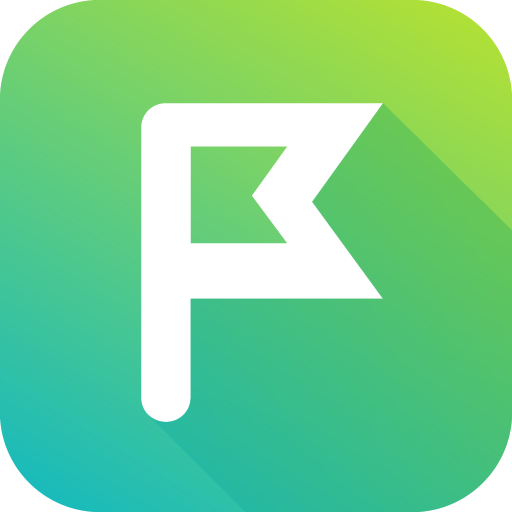 Planfix icon