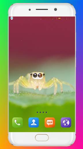 Macro Wallpaper HD screenshot 8