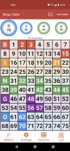Bingo Caller screenshot 1