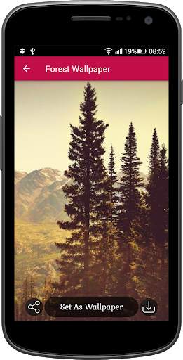 Forest Wallpaper screenshot 5