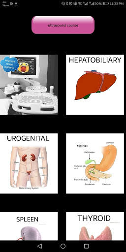 video ultrasound course screenshot 1