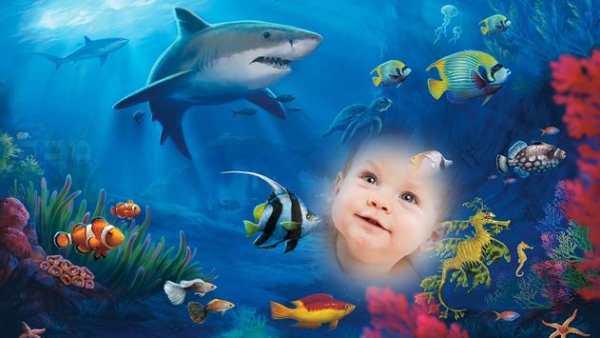 Fish Aquarium Photo Frame screenshot 1