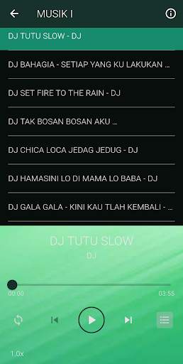 DJ beta janji beta jaga screenshot 3