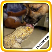 Jigsaw Puzzles: Family Pet icon
