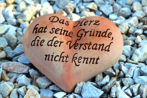 Foto Grußkarten | Zitate | Hintergründe screenshot 12