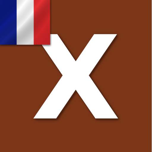 Word Expert - French 3.10