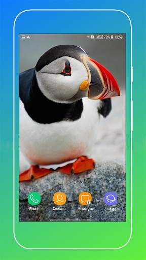 Bird Wallpaper screenshot 15