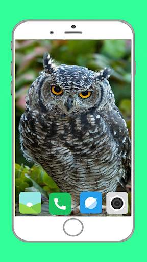 Predator Birds Full HD Wallpaper скриншот 12