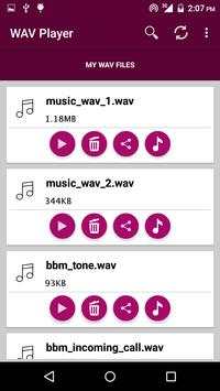 WAV Player 2 تصوير الشاشة