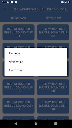 Red-whiskered bulbul bird Sounds ~ Sclip.app screenshot 3