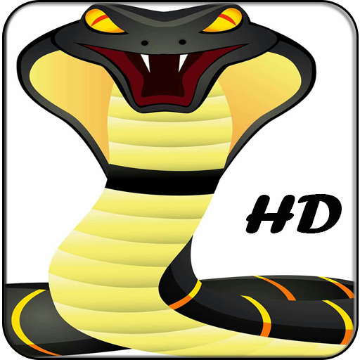 King Cobra Wallpapers HD иконка