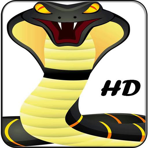 King Cobra Wallpapers HD 2.0
