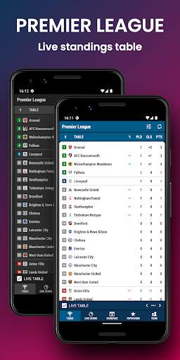 Football EN screenshot 1