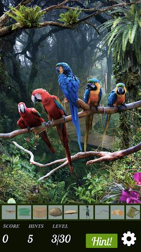 Hidden Object Wilderness FREE! screenshot 4