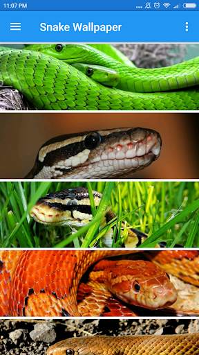 Snake Wallpaper screenshot 2