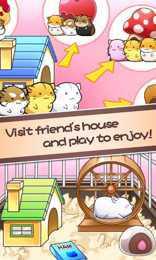 Hamster Life - Vita da Criceto screenshot 7