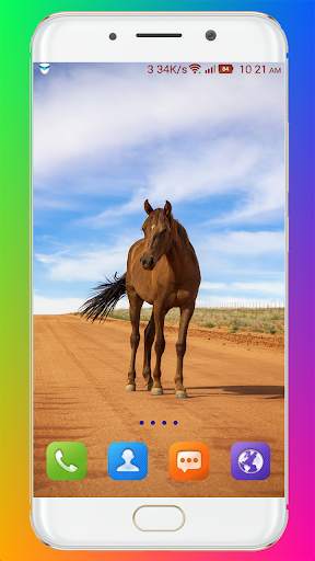 Horse Wallpaper HD screenshot 14