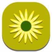 Little Flower C Launcher Theme on 9Apps