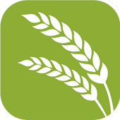 Fresh Data icon