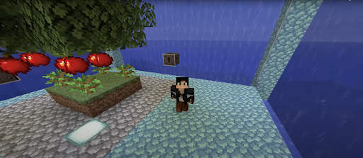 Minecraft Survival: Maps & Mod screenshot 6