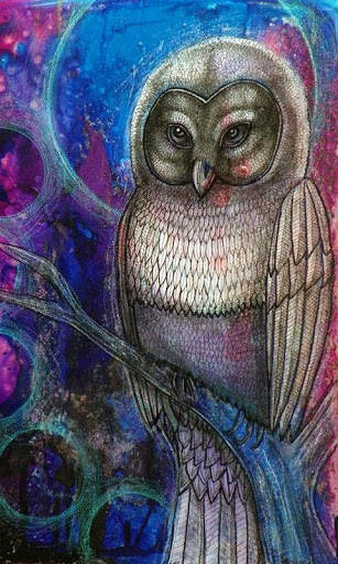 Funny Owl Wallpaper screenshot 11