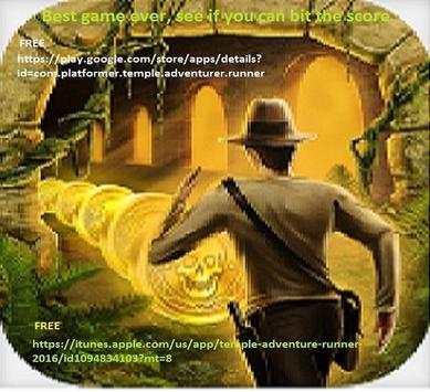 Temple Adventurer Runner 2016 screenshot 11