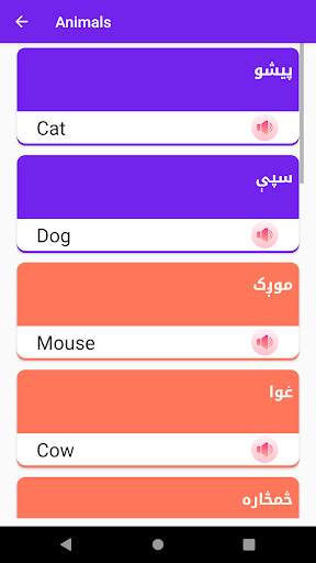 Learn English in Pashto screenshot 6