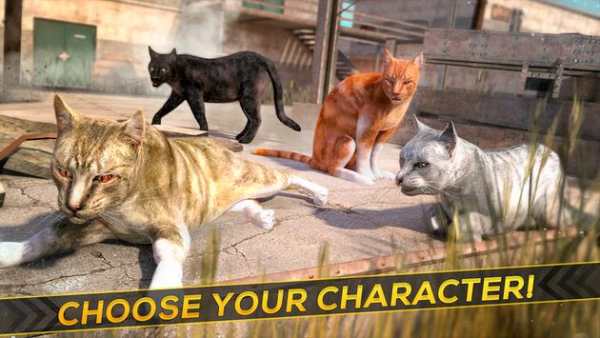 3D Cat Simulator Game For Free screenshot 12