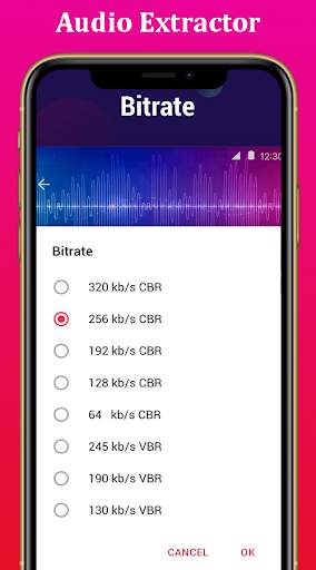 Extractor : Audio & Video & Music & Photo & Apk screenshot 2