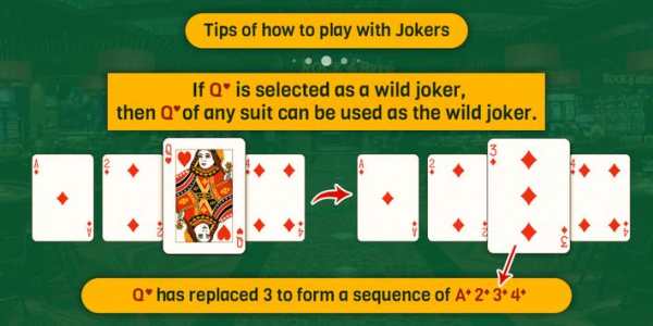 Rummy : रमी खेलना सीखो screenshot 2