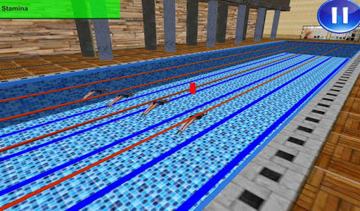 Swimming Racing screenshot 2