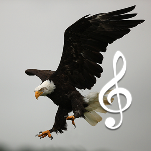 Bird and Animal sounds أيقونة