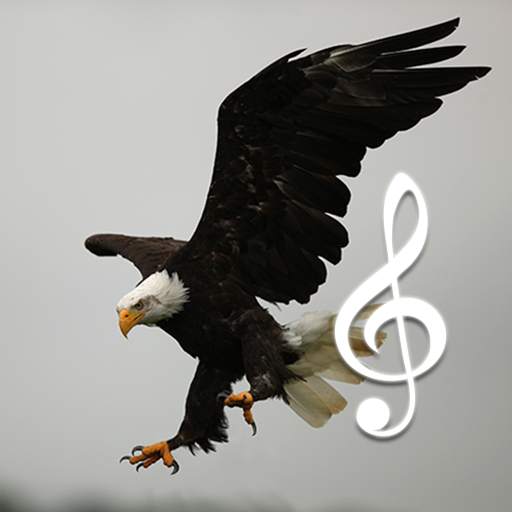 Bird and Animal sounds 8.8