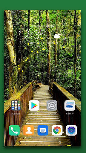 Rain Forest Live Wallpaper screenshot 1