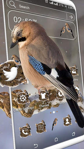 Jay Bird Theme स्क्रीनशॉट 1