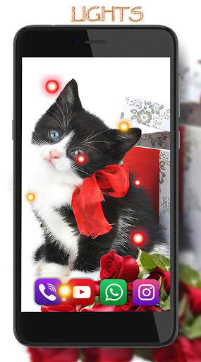 Kittens Lovely LWP screenshot 4