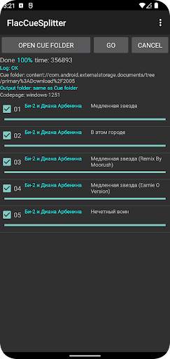 Flac Cue Splitter screenshot 6