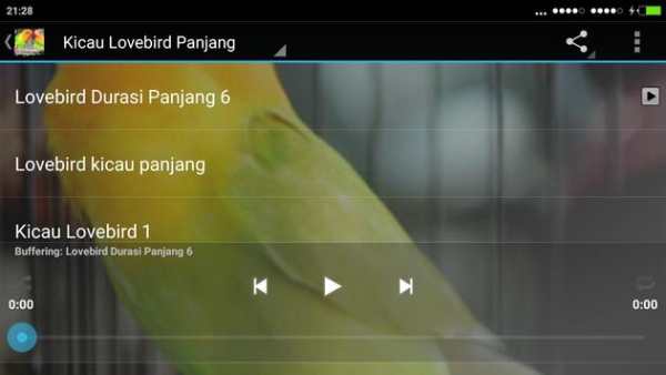 Chirping of Lovebird screenshot 3