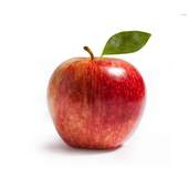 apple store 1.1.0