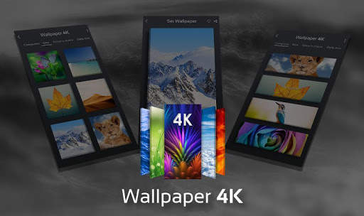 Wallpaper 4K all free Full HD Background Images screenshot 5