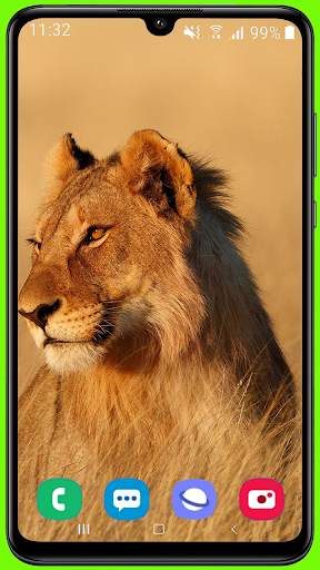 Lion Wallpaper Best HD screenshot 7