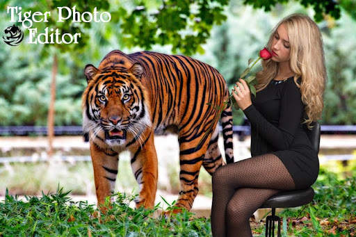 Tiger photo frames 4 تصوير الشاشة